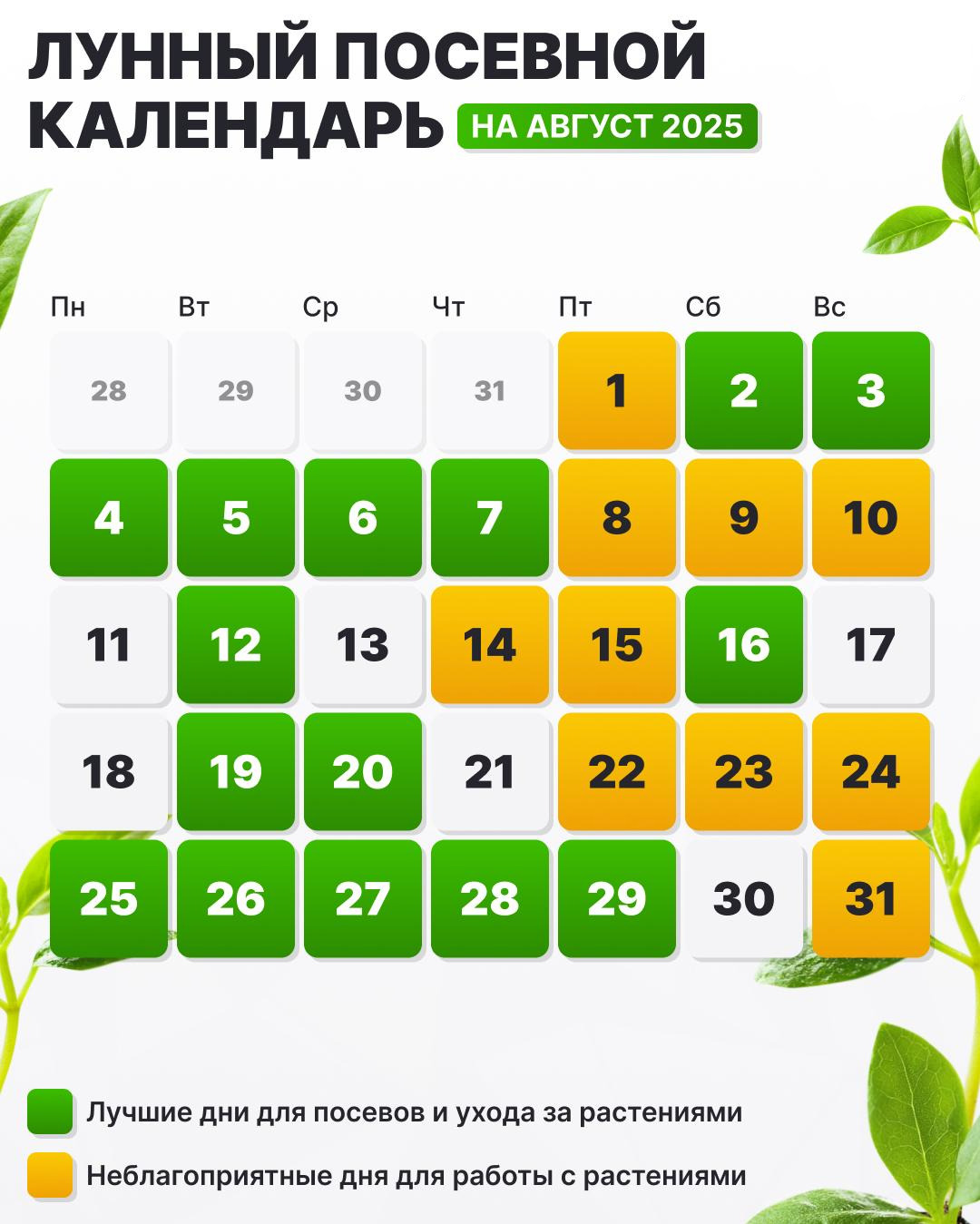 Посевной календарь на август 2025